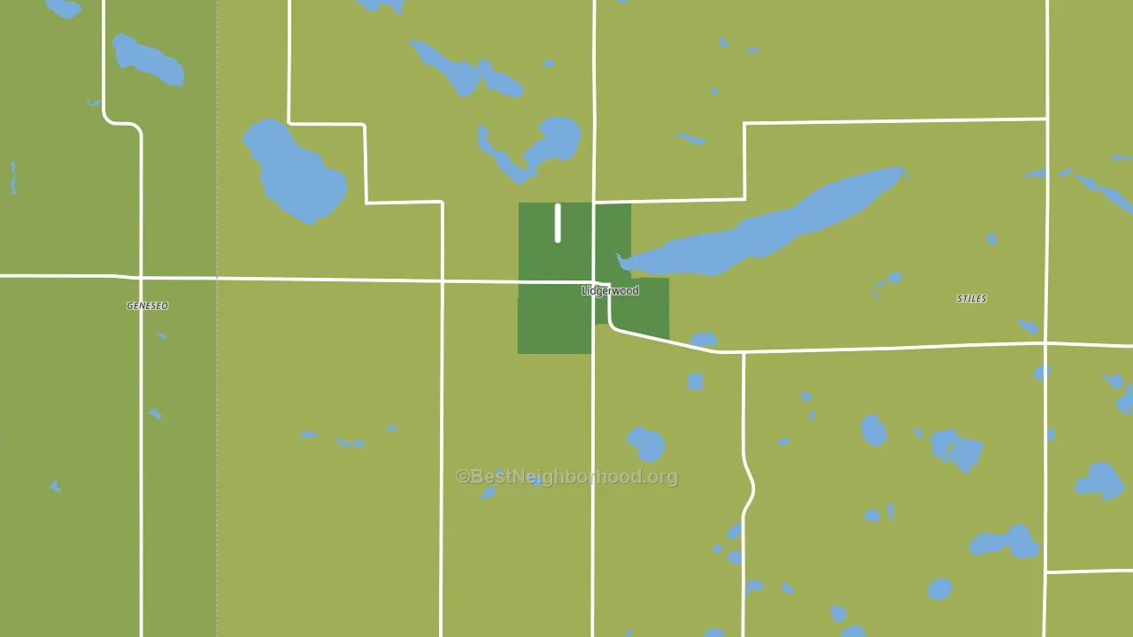 Lidgerwood, ND block-group voter-turnout map