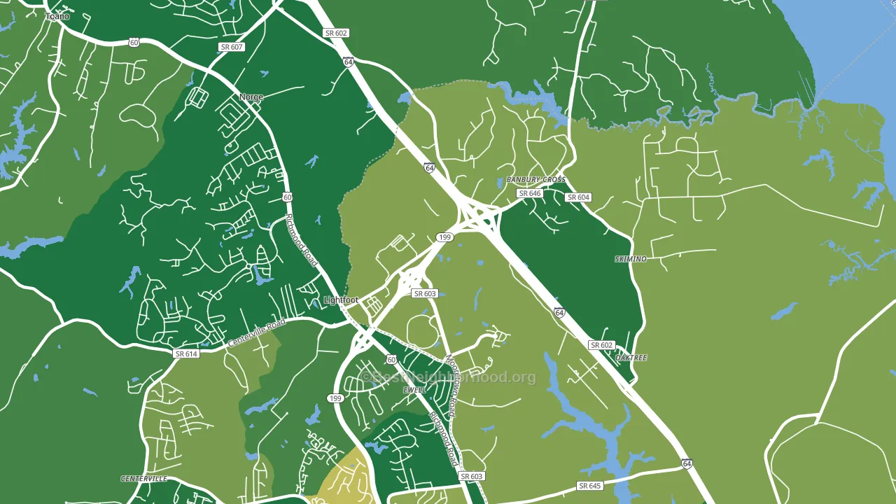 Lightfoot, VA block-group voter-turnout map