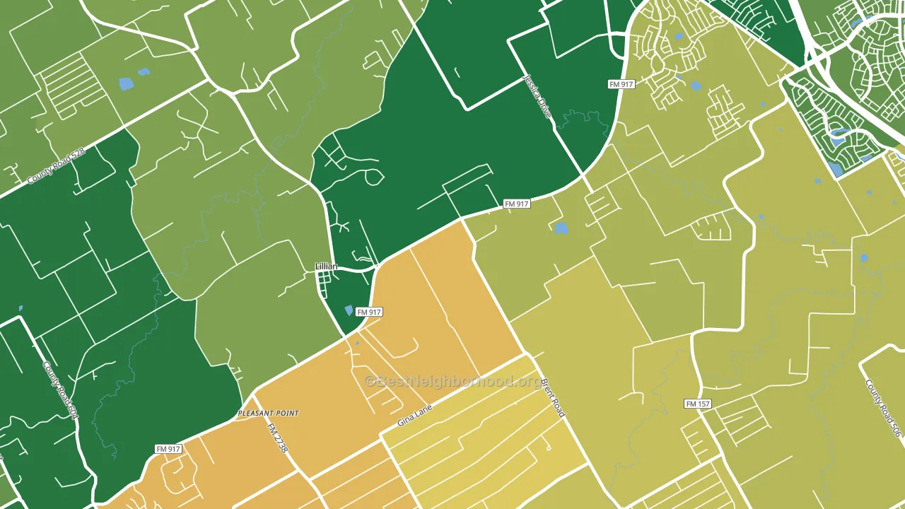 Lillian, TX block-group voter-turnout map