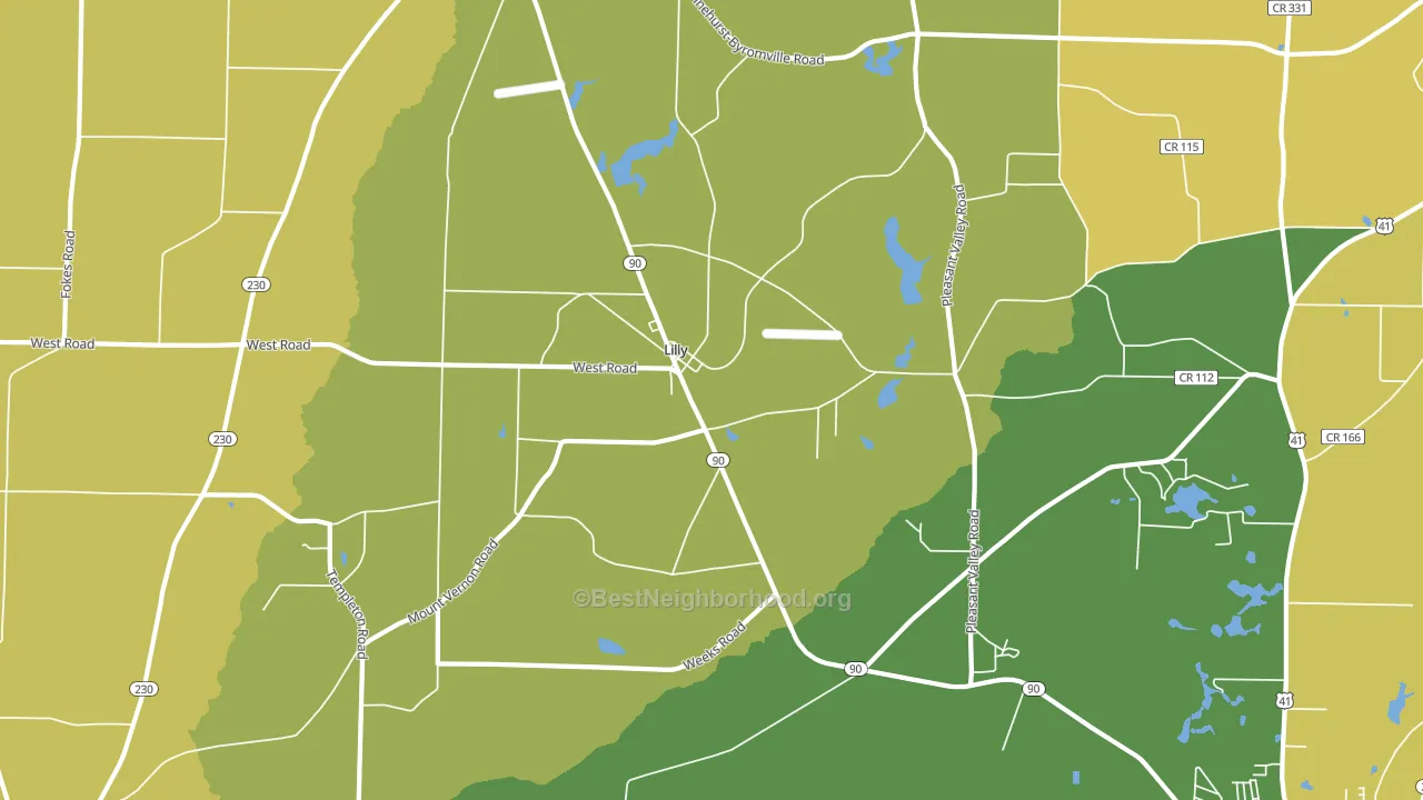 Lilly, GA block-group voter-turnout map