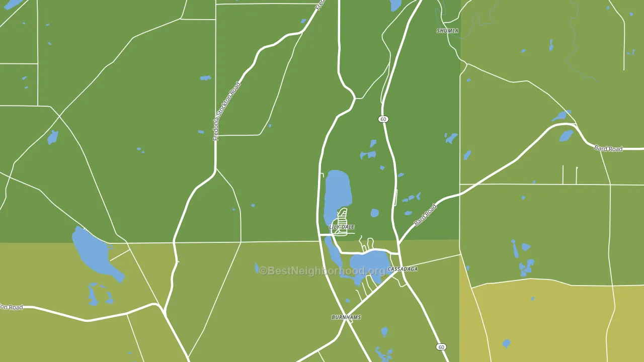 Lily Dale, NY block-group voter-turnout map