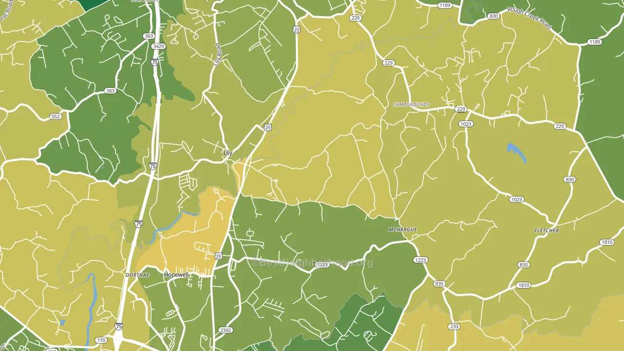 Lily, KY block-group voter-turnout map