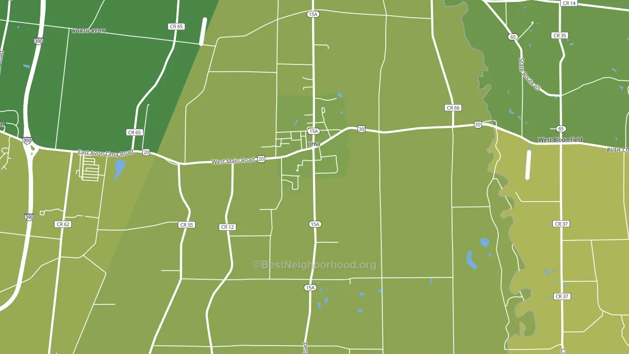 Lima, NY block-group voter-turnout map
