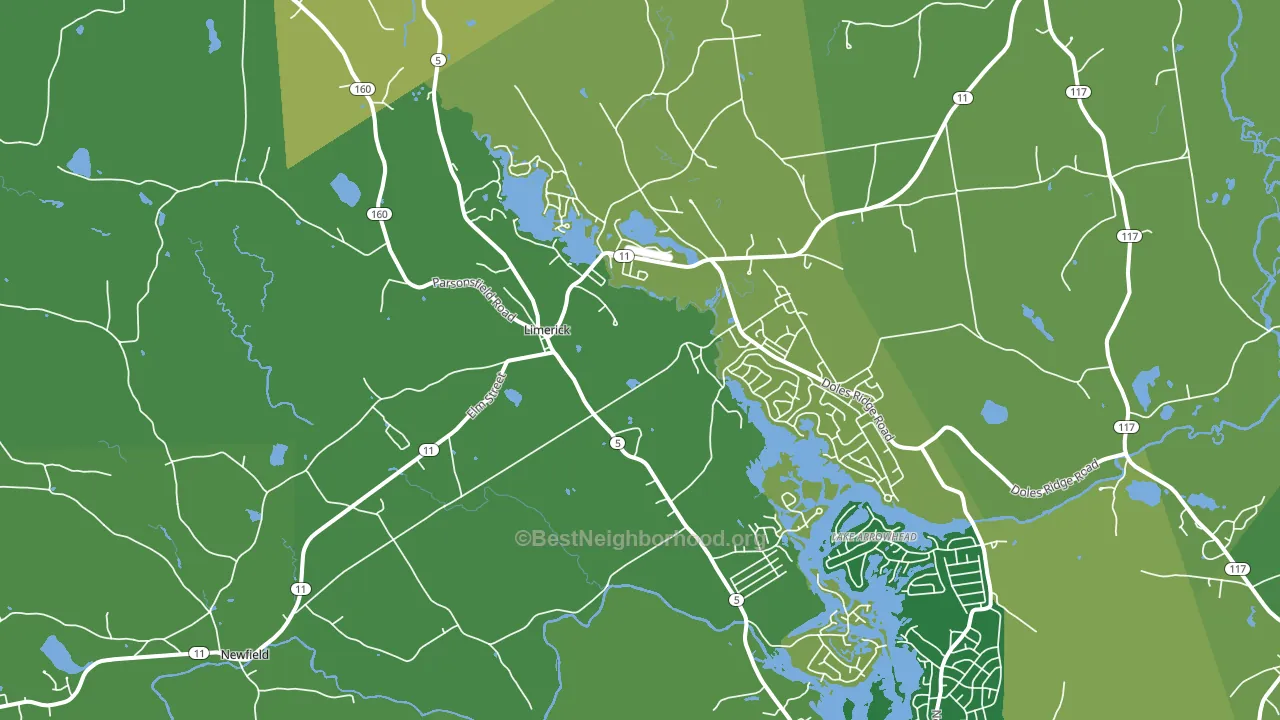 Limerick, ME block-group voter-turnout map