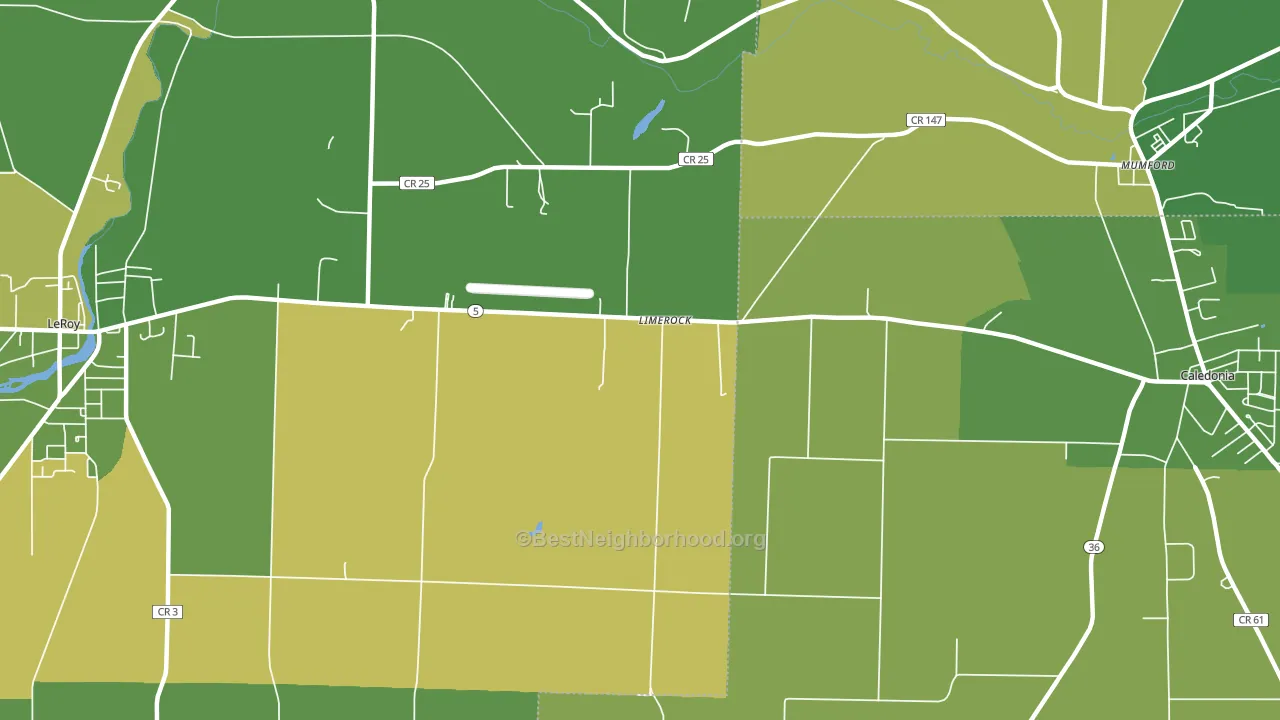 Limerock, NY block-group voter-turnout map