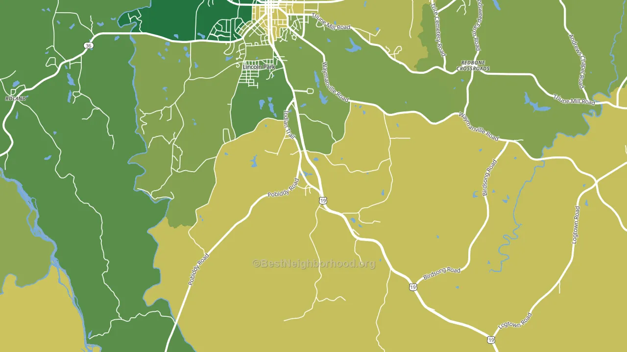 Lincoln Park, GA block-group voter-turnout map