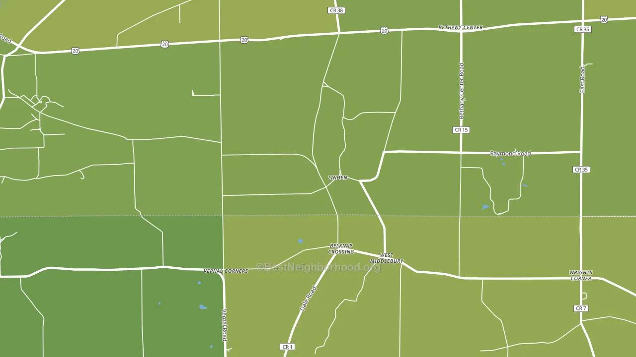 Linden, NY block-group voter-turnout map