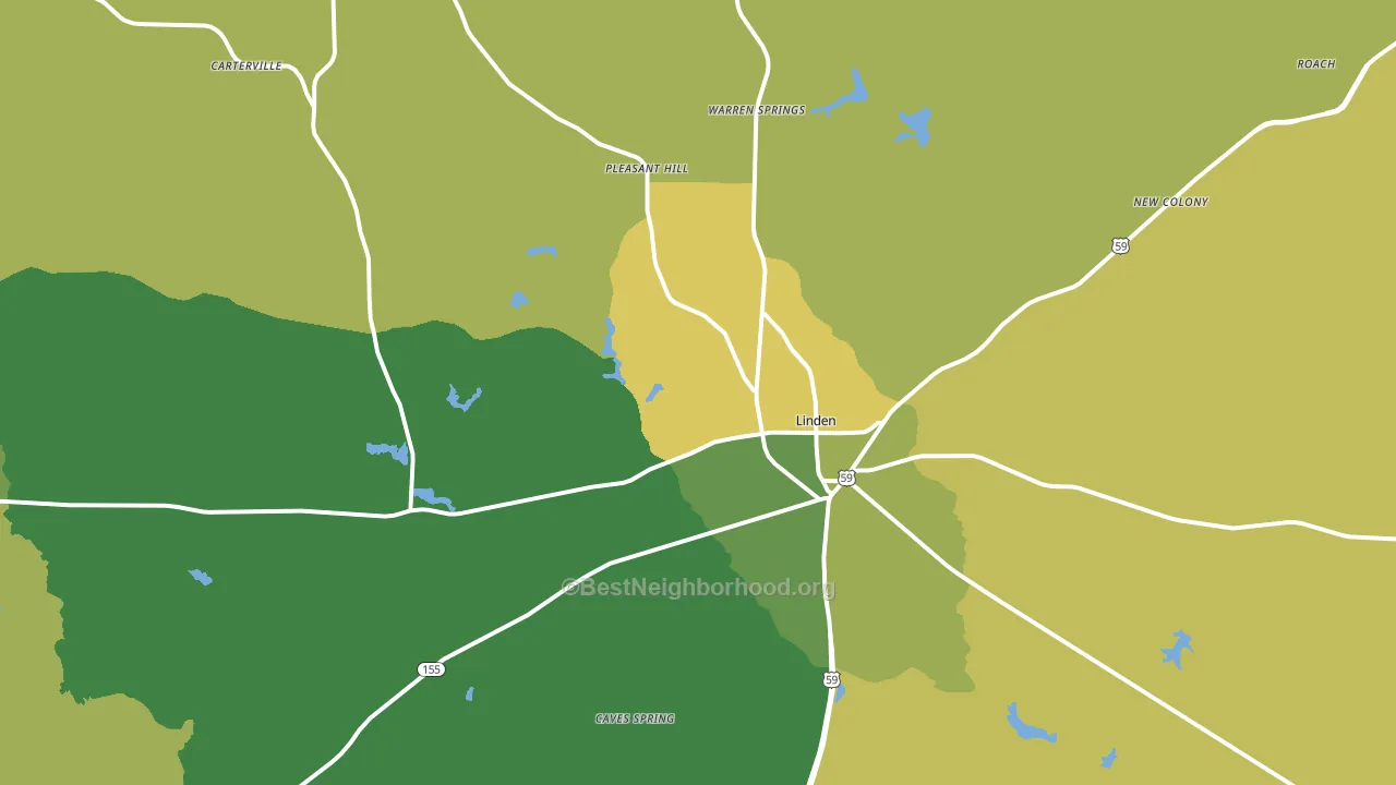 Linden, TX block-group voter-turnout map