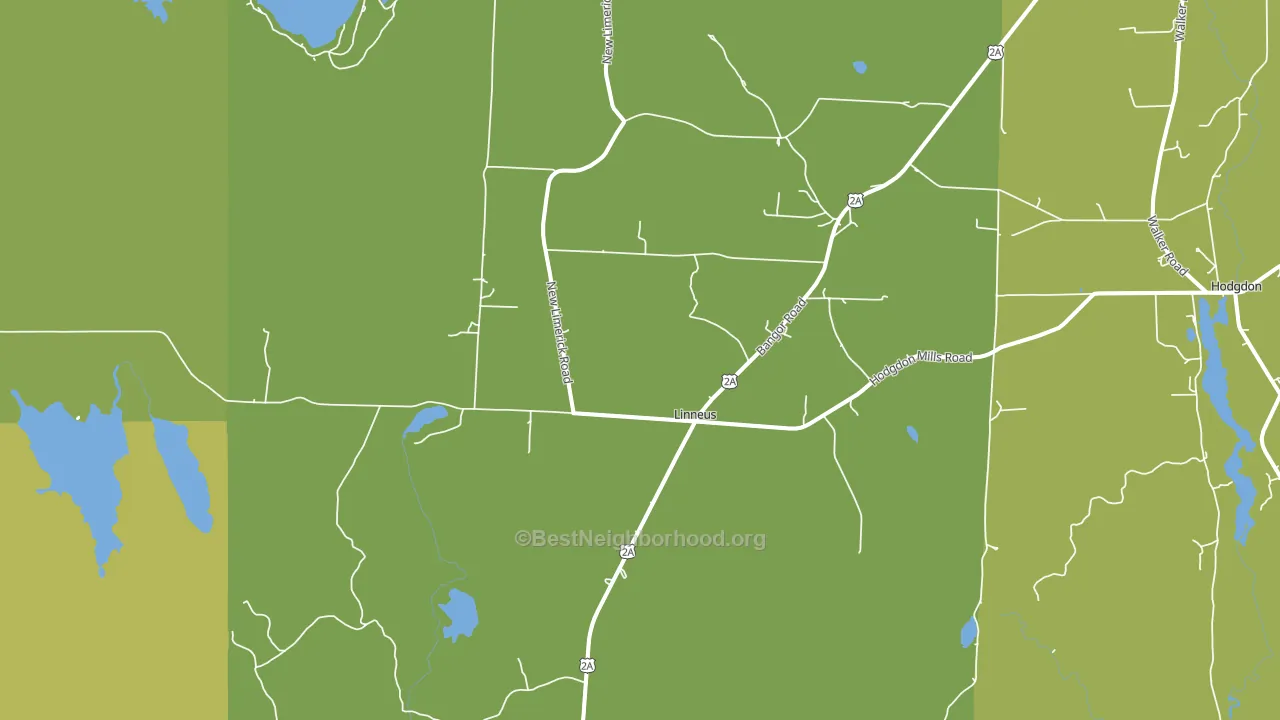 Linneus, ME block-group voter-turnout map