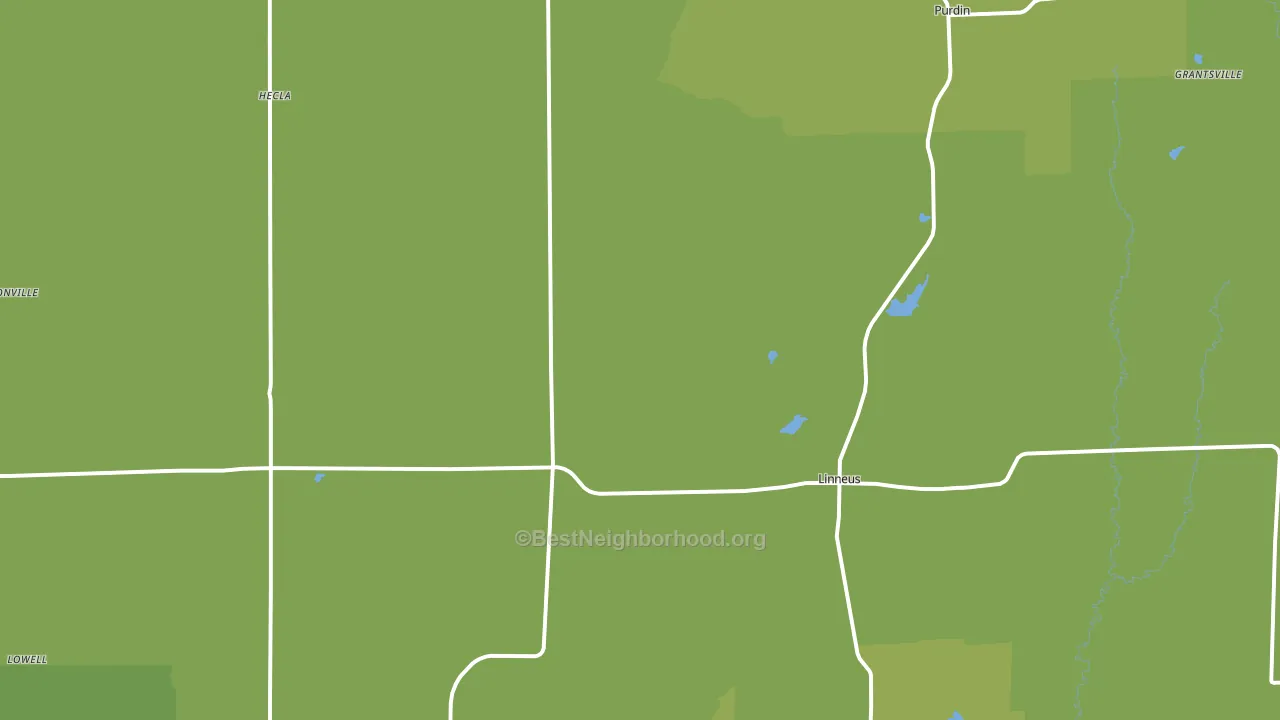 Linneus, MO block-group voter-turnout map