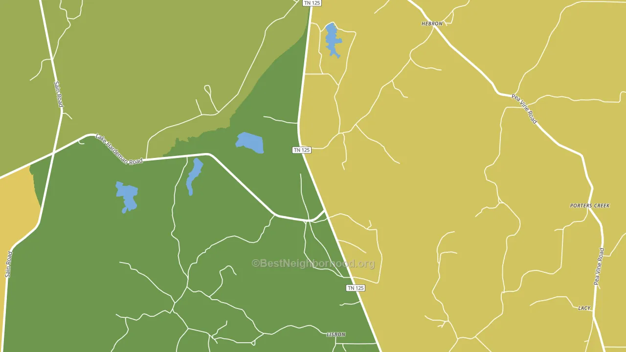 Lisbon, TN block-group voter-turnout map