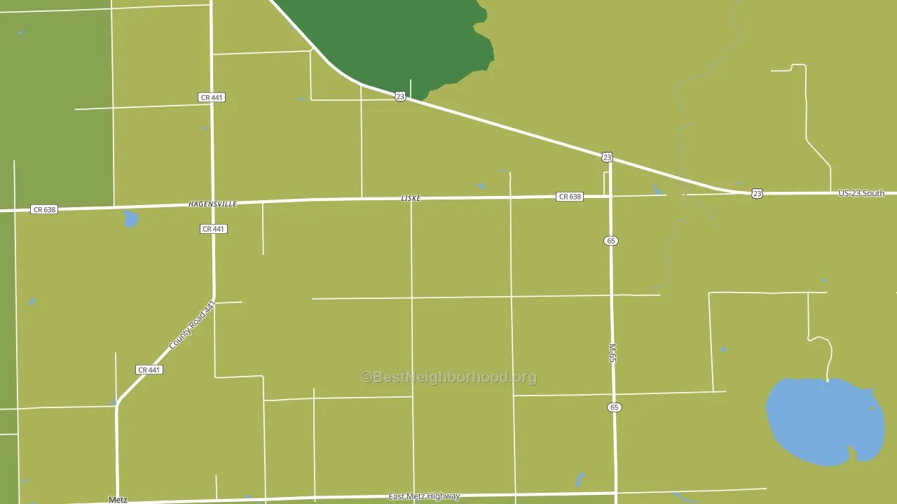 Liske, MI block-group voter-turnout map