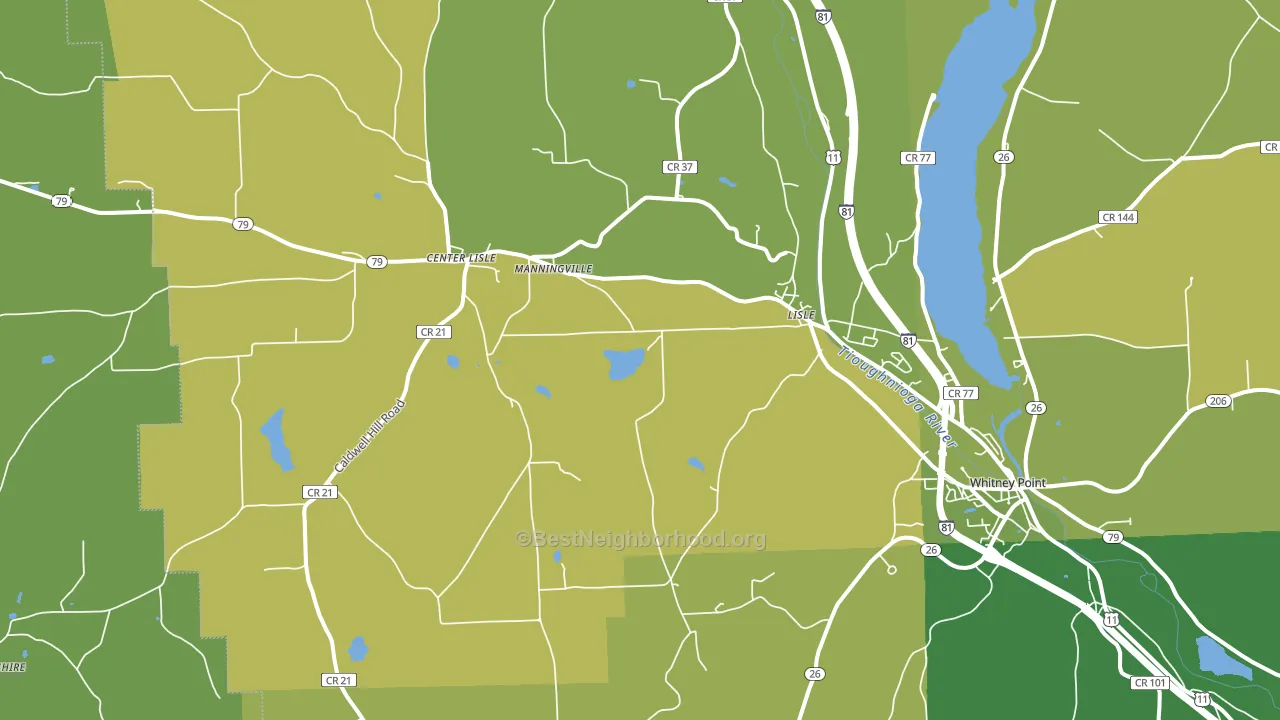 Lisle, NY block-group voter-turnout map