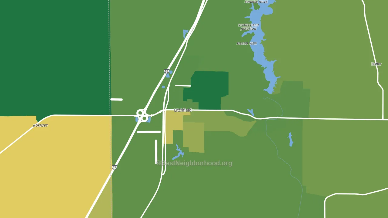 Litchfield, IL block-group voter-turnout map