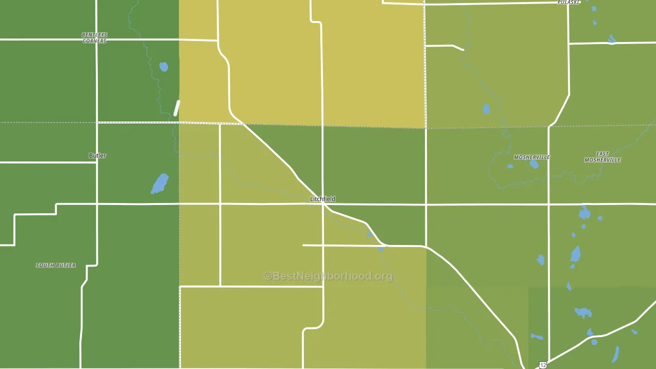 Litchfield, MI block-group voter-turnout map