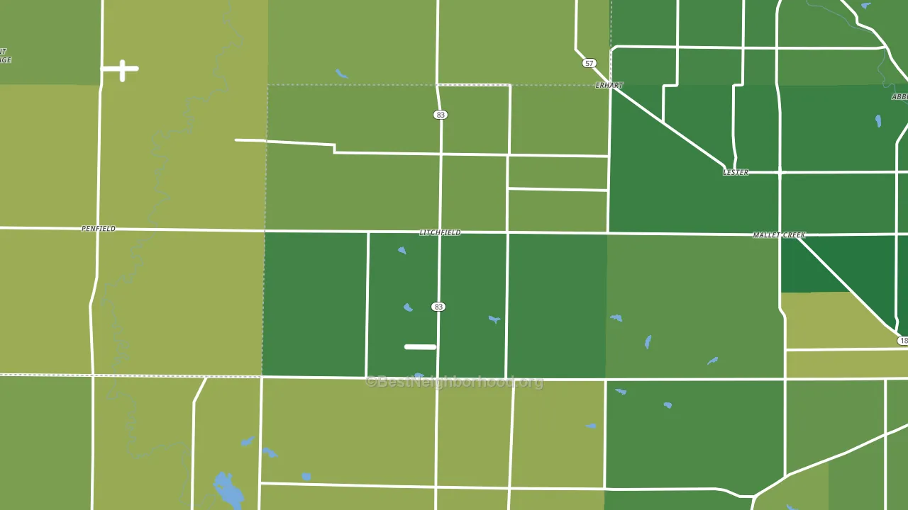 Litchfield, OH block-group voter-turnout map
