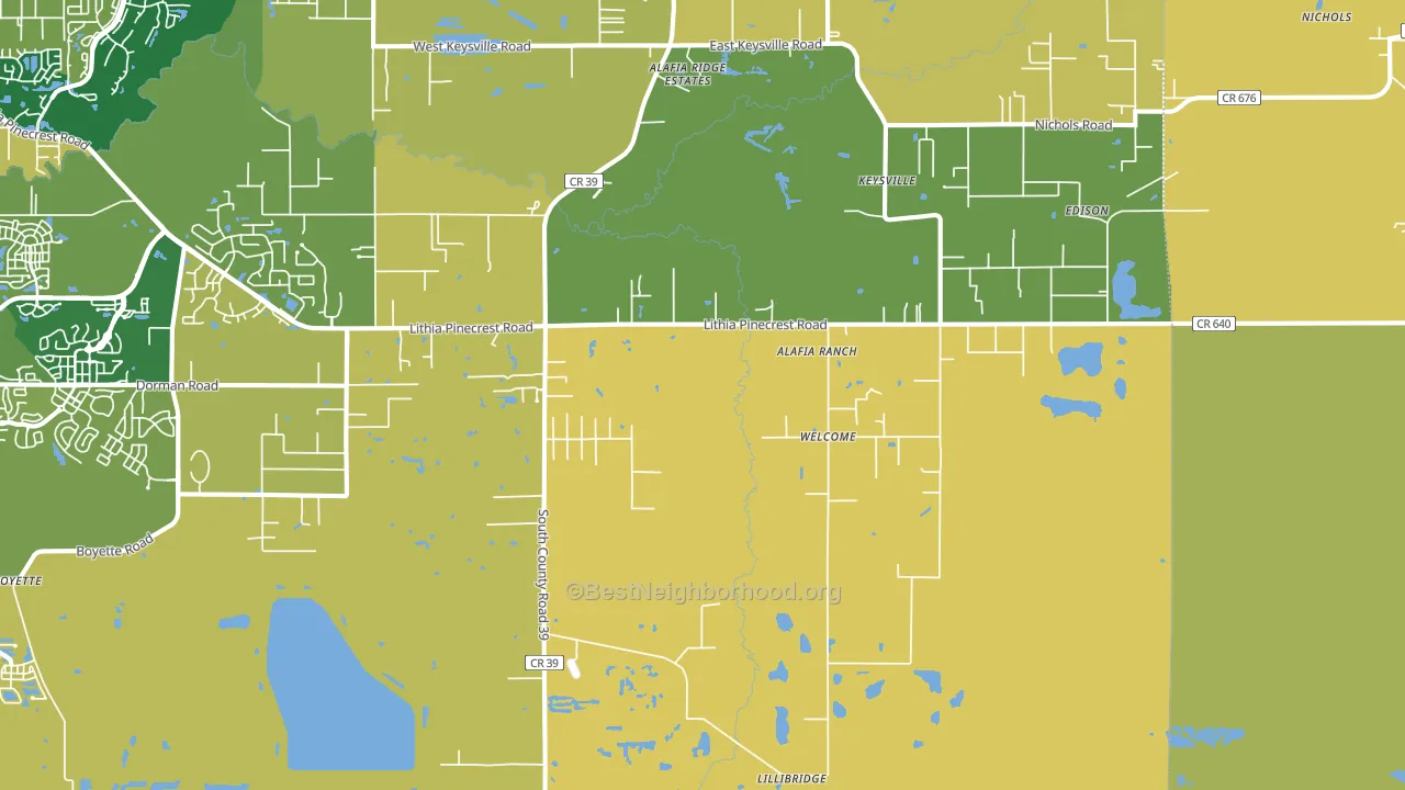 Lithia, FL block-group voter-turnout map