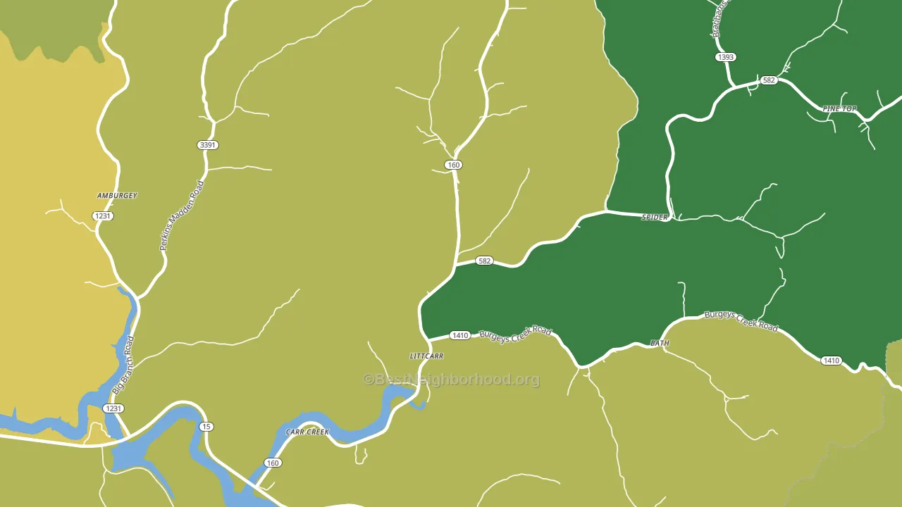 Littcarr, KY block-group voter-turnout map
