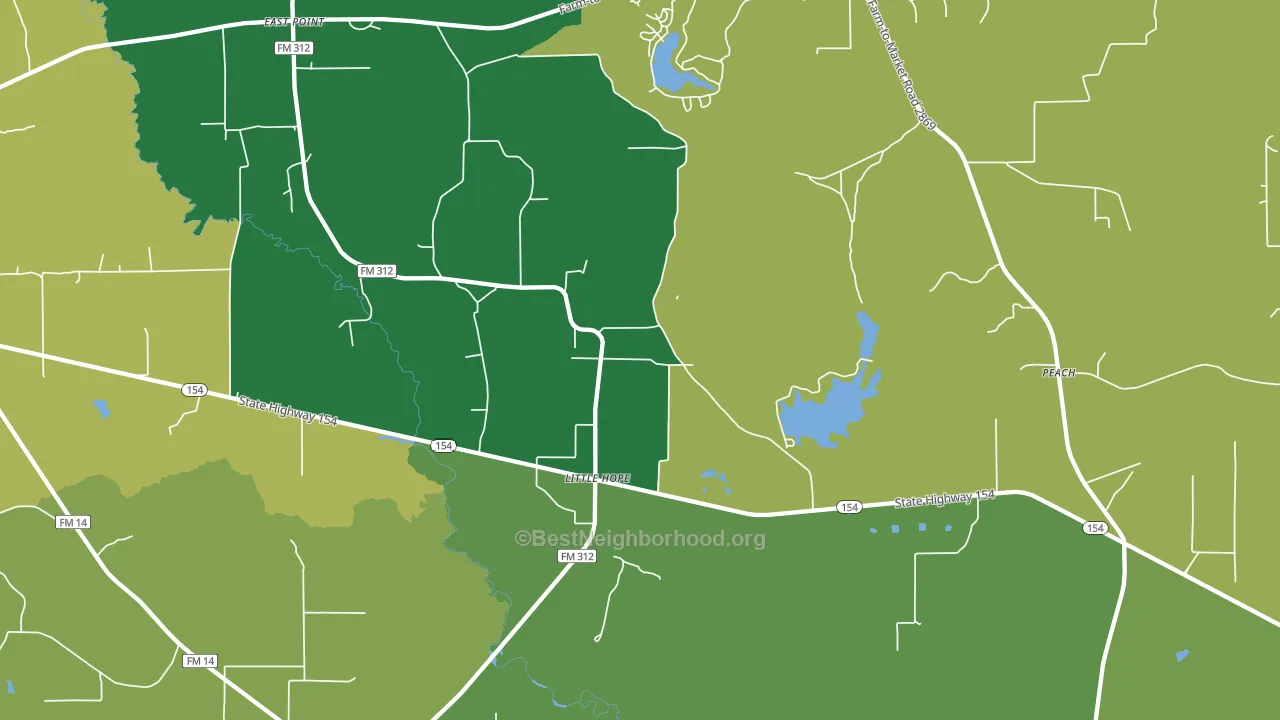 Little Hope, TX block-group voter-turnout map