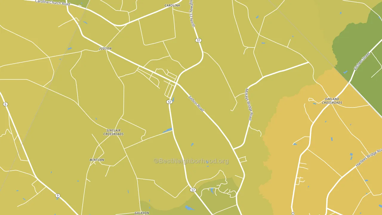 Little Rock, SC block-group voter-turnout map