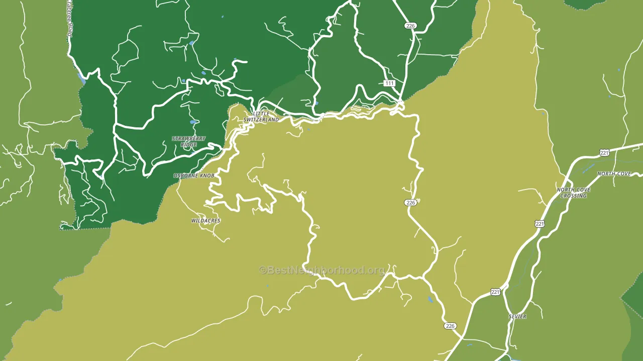 Little Switzerland, NC block-group voter-turnout map