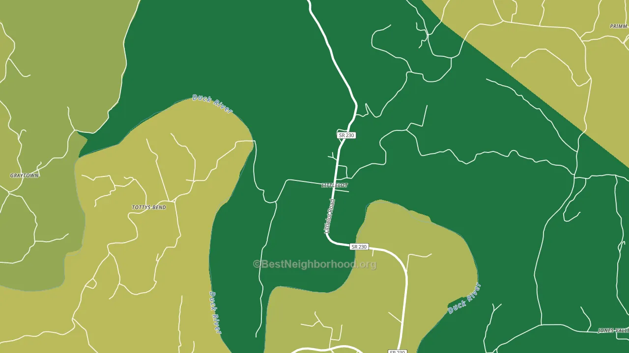 Littlelot, TN block-group voter-turnout map