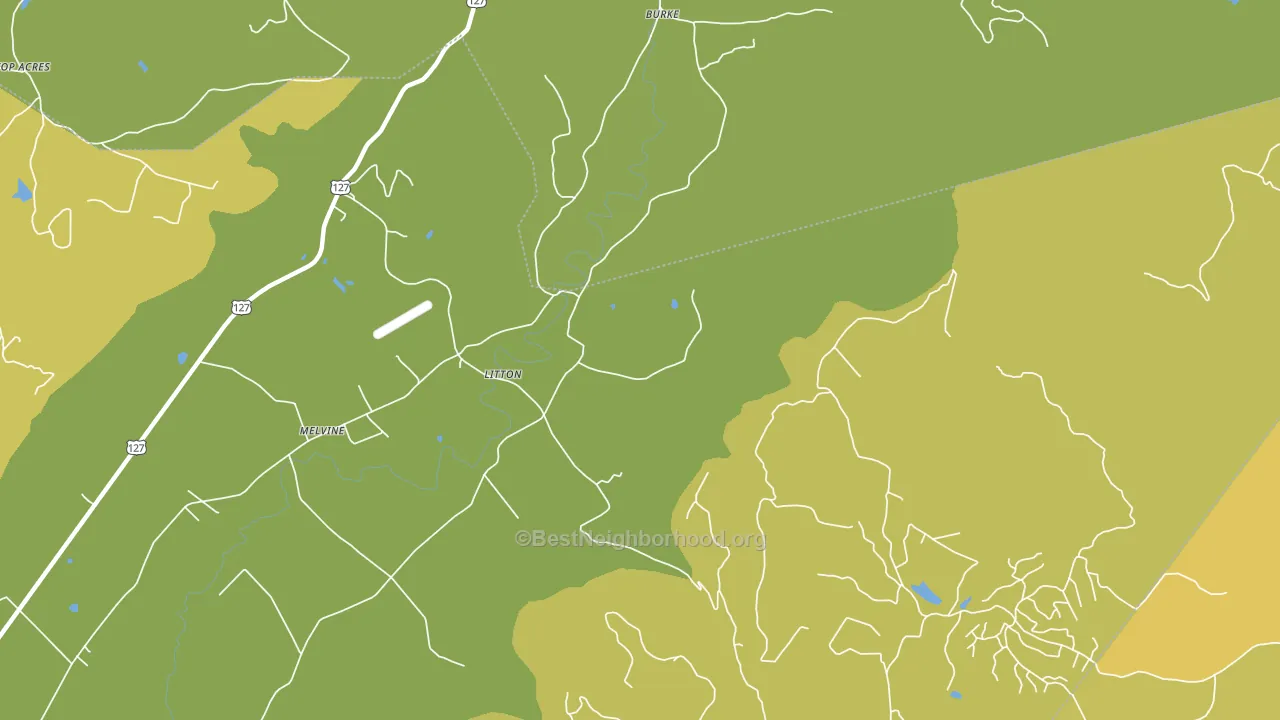 Litton, TN block-group voter-turnout map