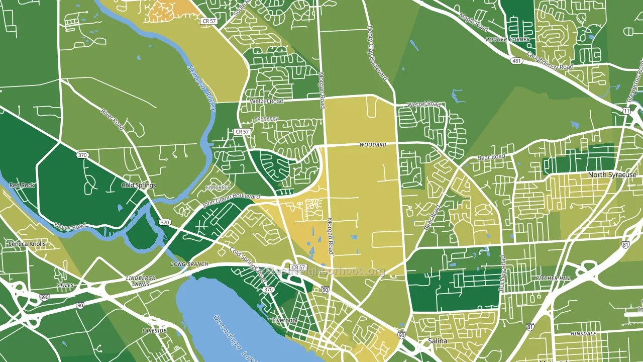 Liverpool, NY block-group voter-turnout map