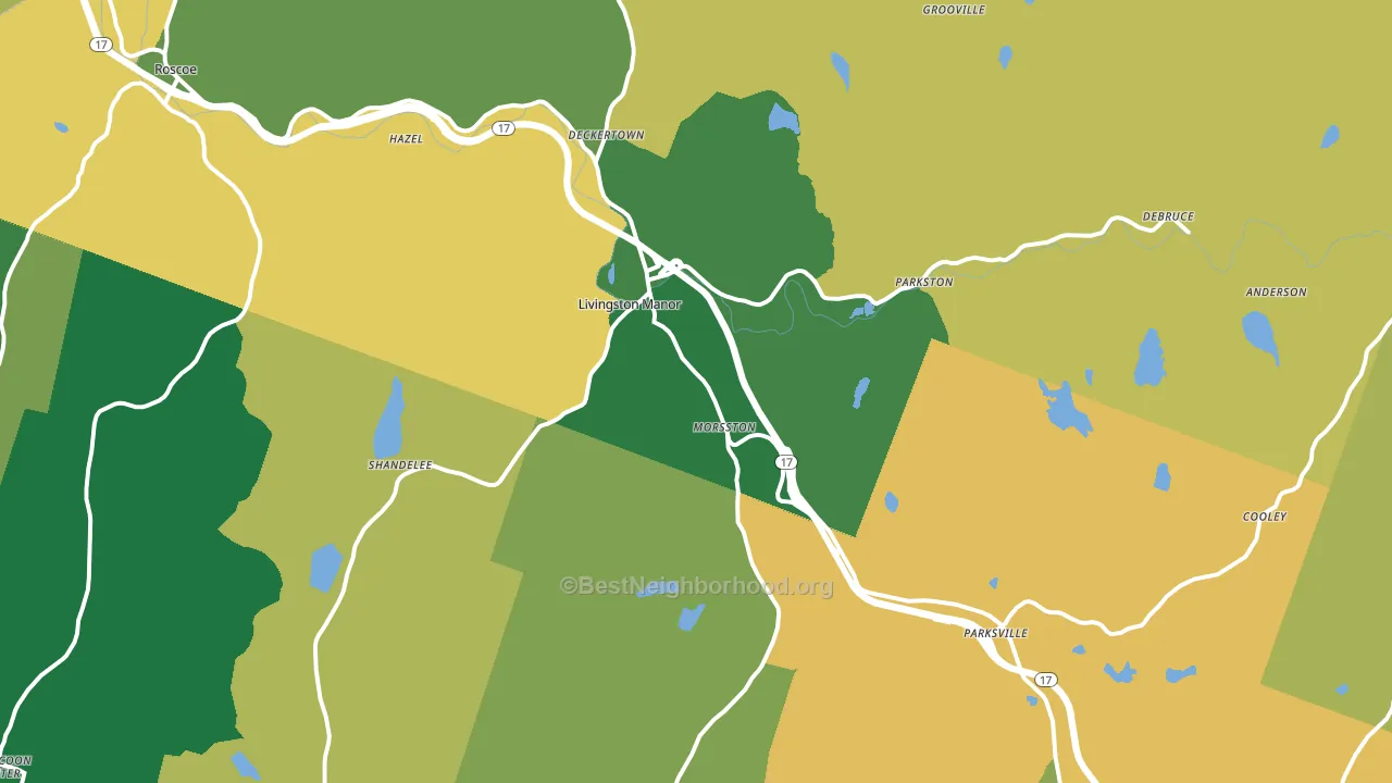 Livingston Manor, NY block-group voter-turnout map