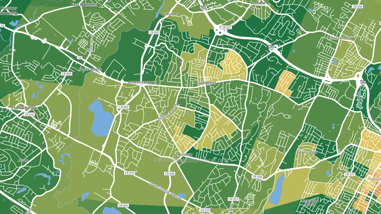 Livingston, NJ block-group voter-turnout map