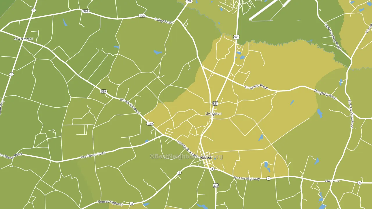 Livingston, SC block-group voter-turnout map