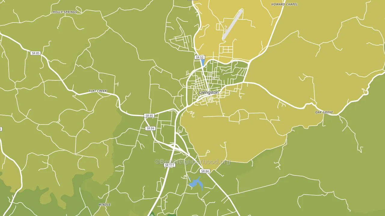 Livingston, TN block-group voter-turnout map