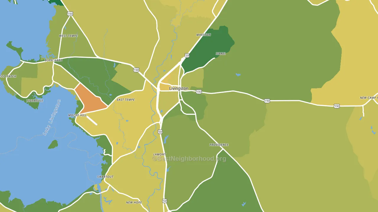 Livingston, TX block-group voter-turnout map