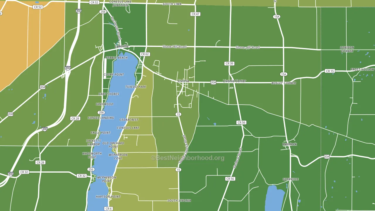Livonia, NY block-group voter-turnout map
