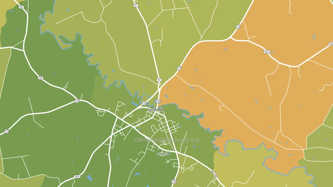 Lizzie, NC block-group voter-turnout map
