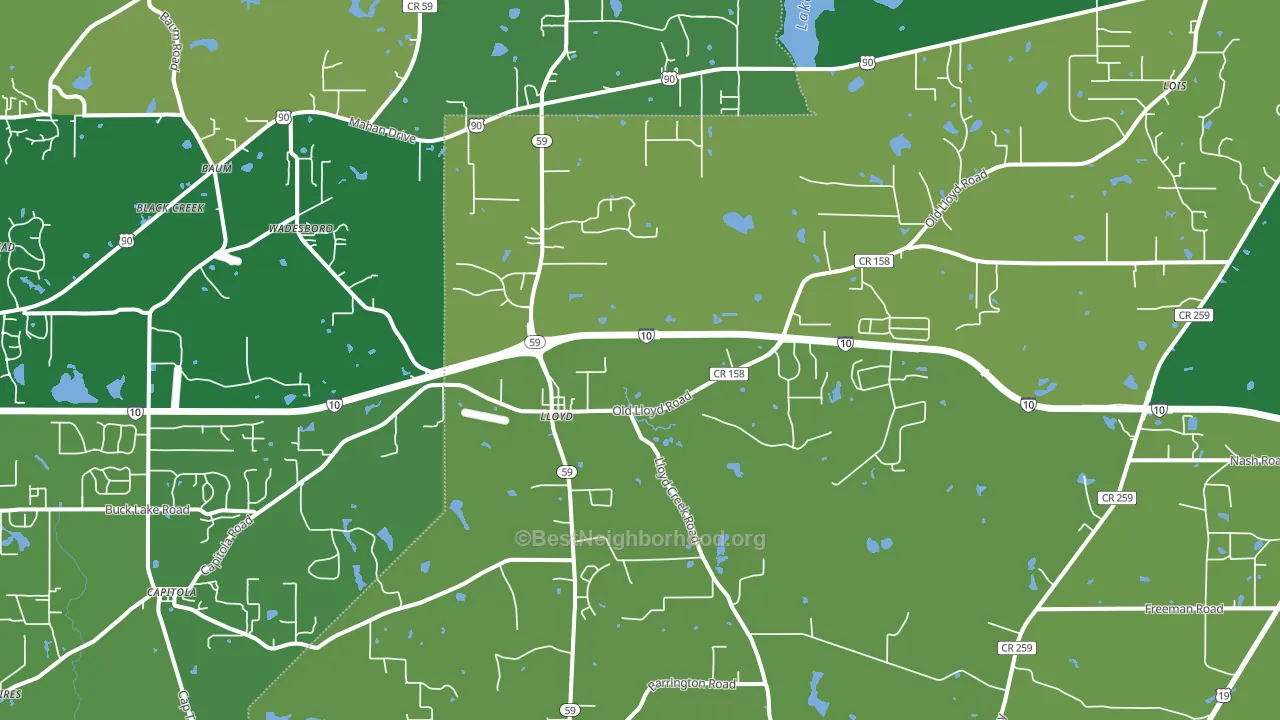 Lloyd, FL block-group voter-turnout map