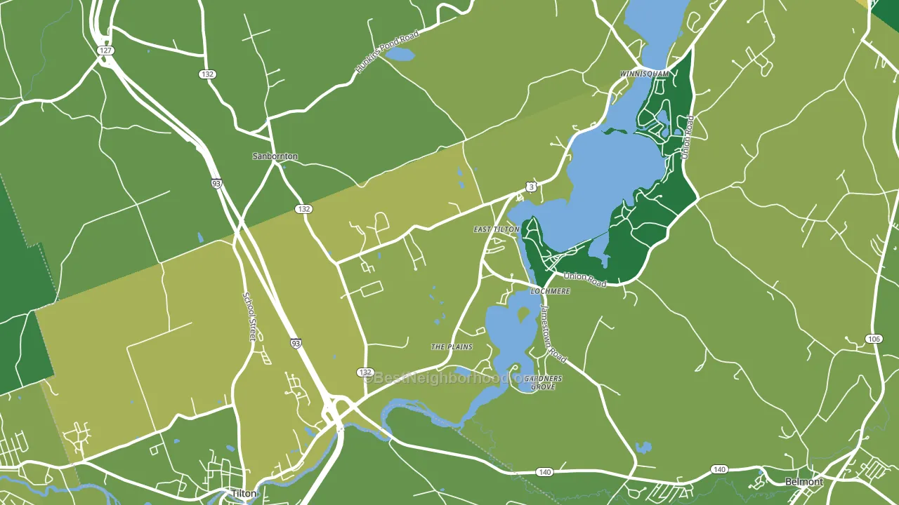 Lochmere, NH block-group voter-turnout map