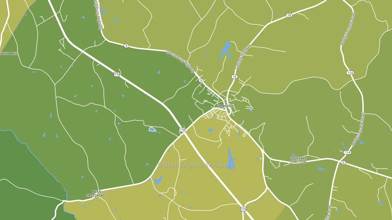 Lockhart Junction, SC block-group voter-turnout map