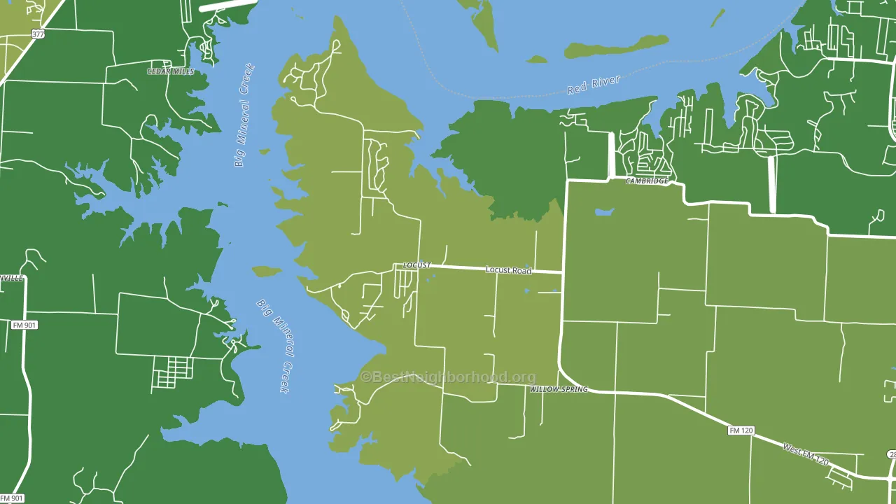 Locust, TX block-group voter-turnout map