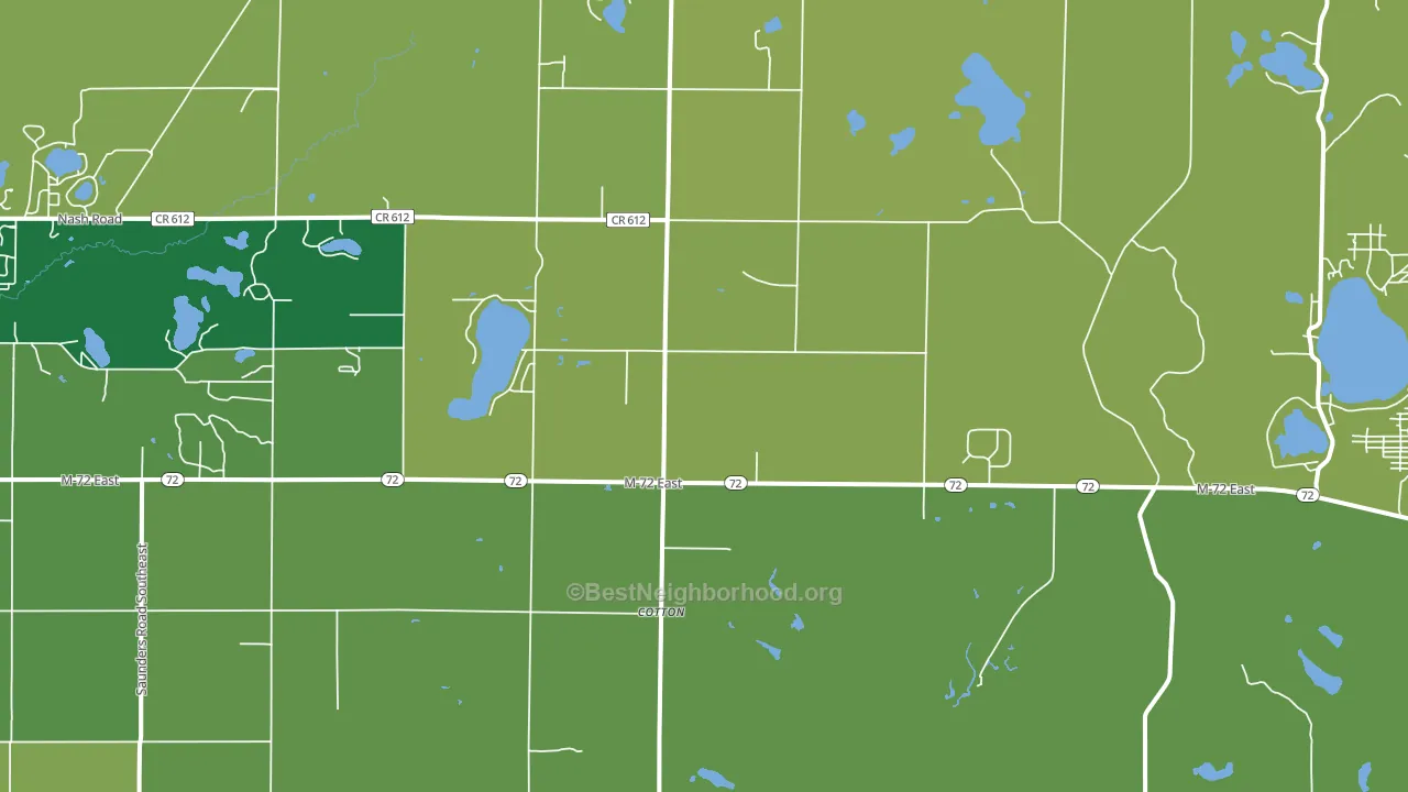 Lodi, MI block-group voter-turnout map