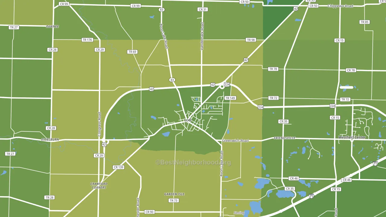 Lodi, OH block-group voter-turnout map