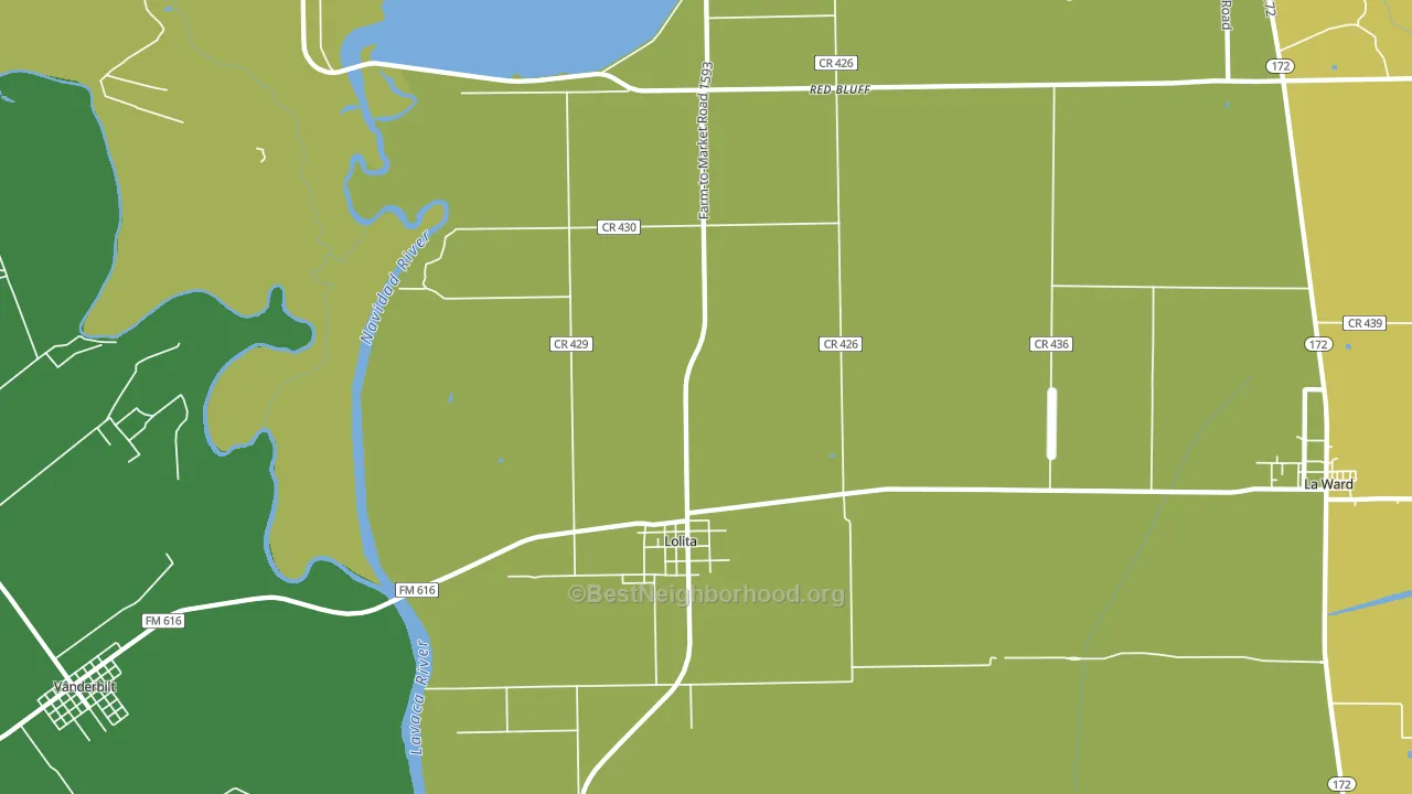 Lolita, TX block-group voter-turnout map