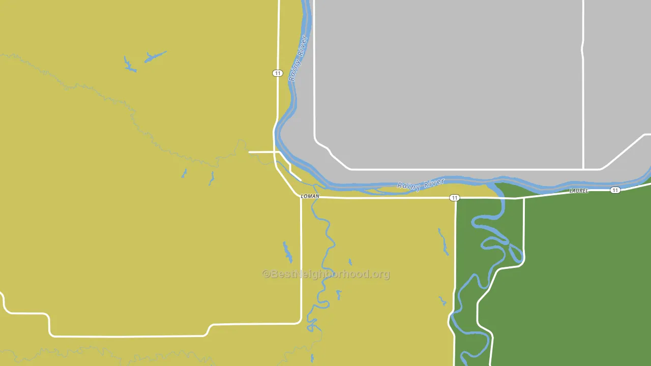 Loman, MN block-group voter-turnout map