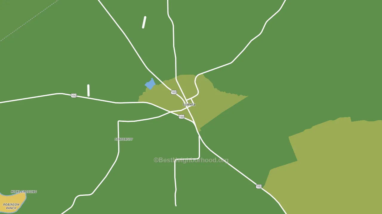 Lometa, TX block-group voter-turnout map
