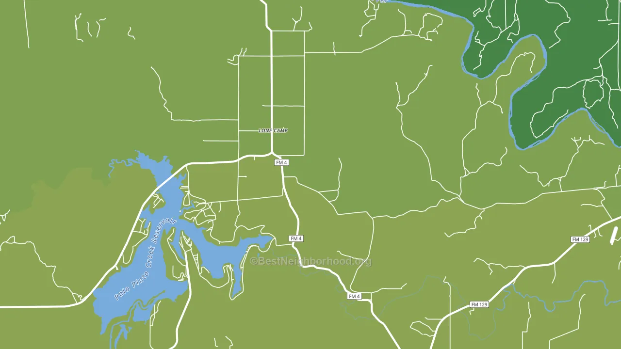 Lone Camp, TX block-group voter-turnout map