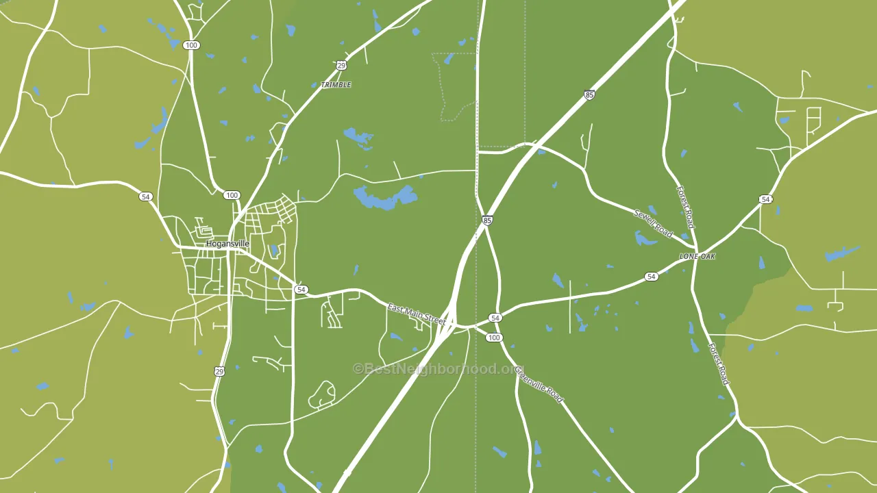 Lone Oak, GA block-group voter-turnout map