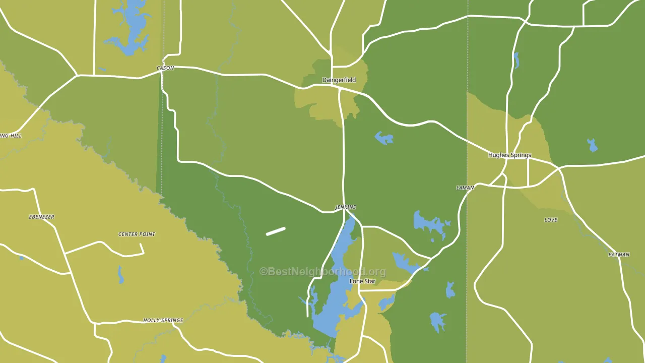 Lone Star, TX block-group voter-turnout map