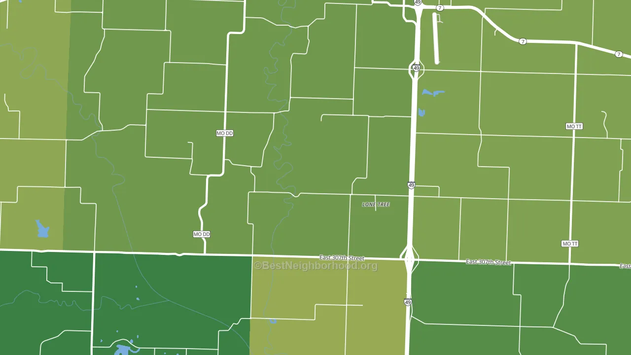 Lone Tree, MO block-group voter-turnout map