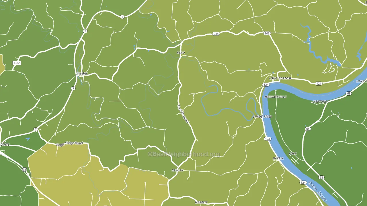 Long Bottom, OH block-group voter-turnout map