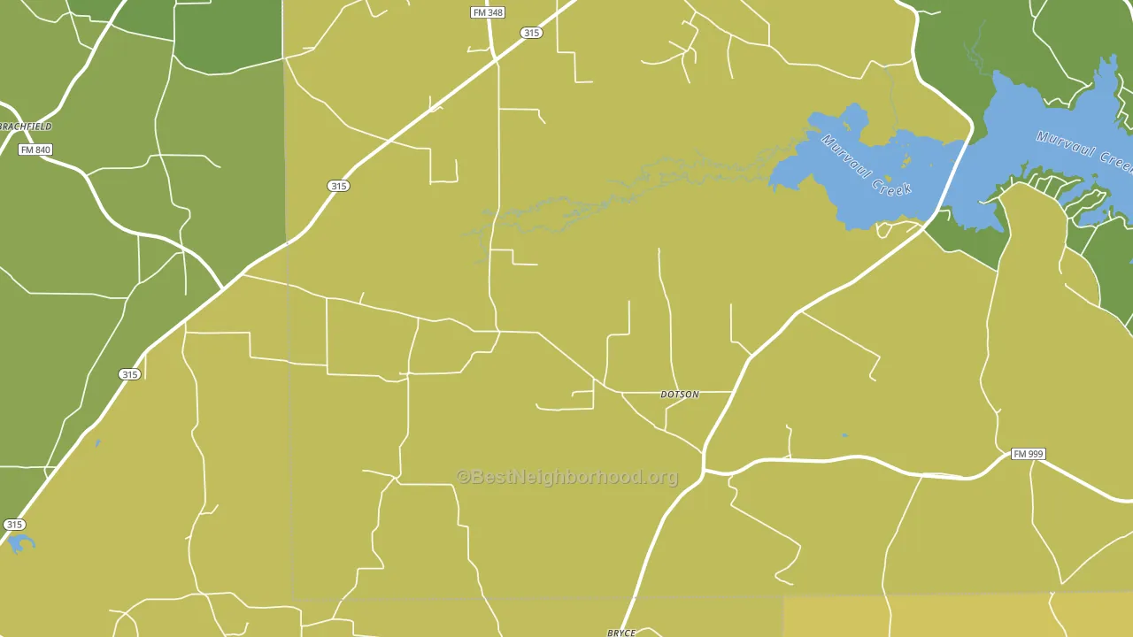 Long Branch, TX block-group voter-turnout map